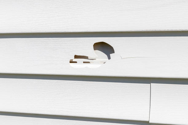 Trusted Velva, ND Siding Experts